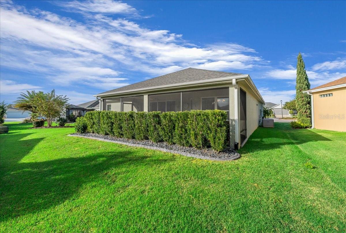 Backyard - 3335 VELTRE WAY, THE VILLAGES