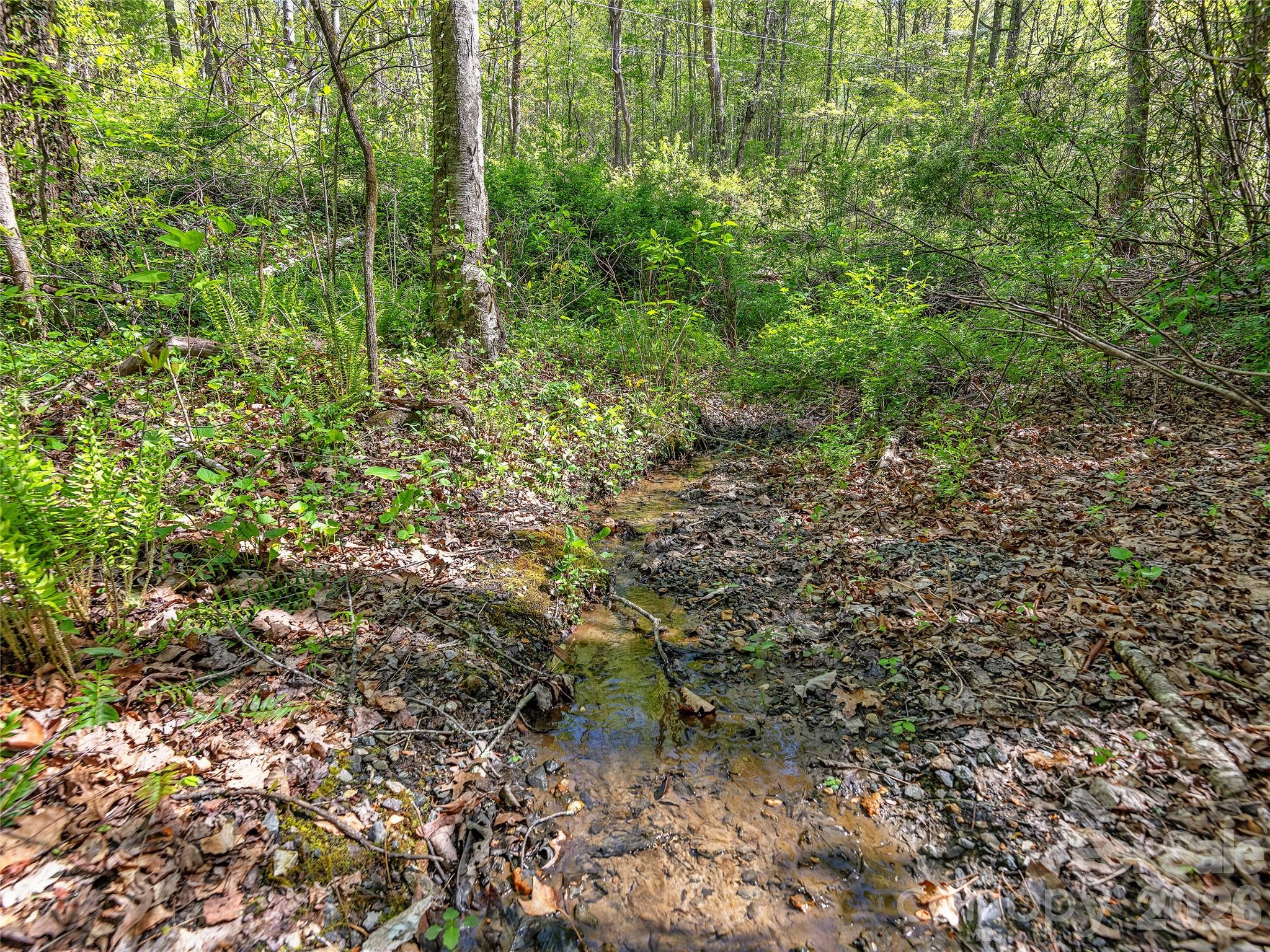 Acreage at 99999 Bob Barnwell Road, Asheville