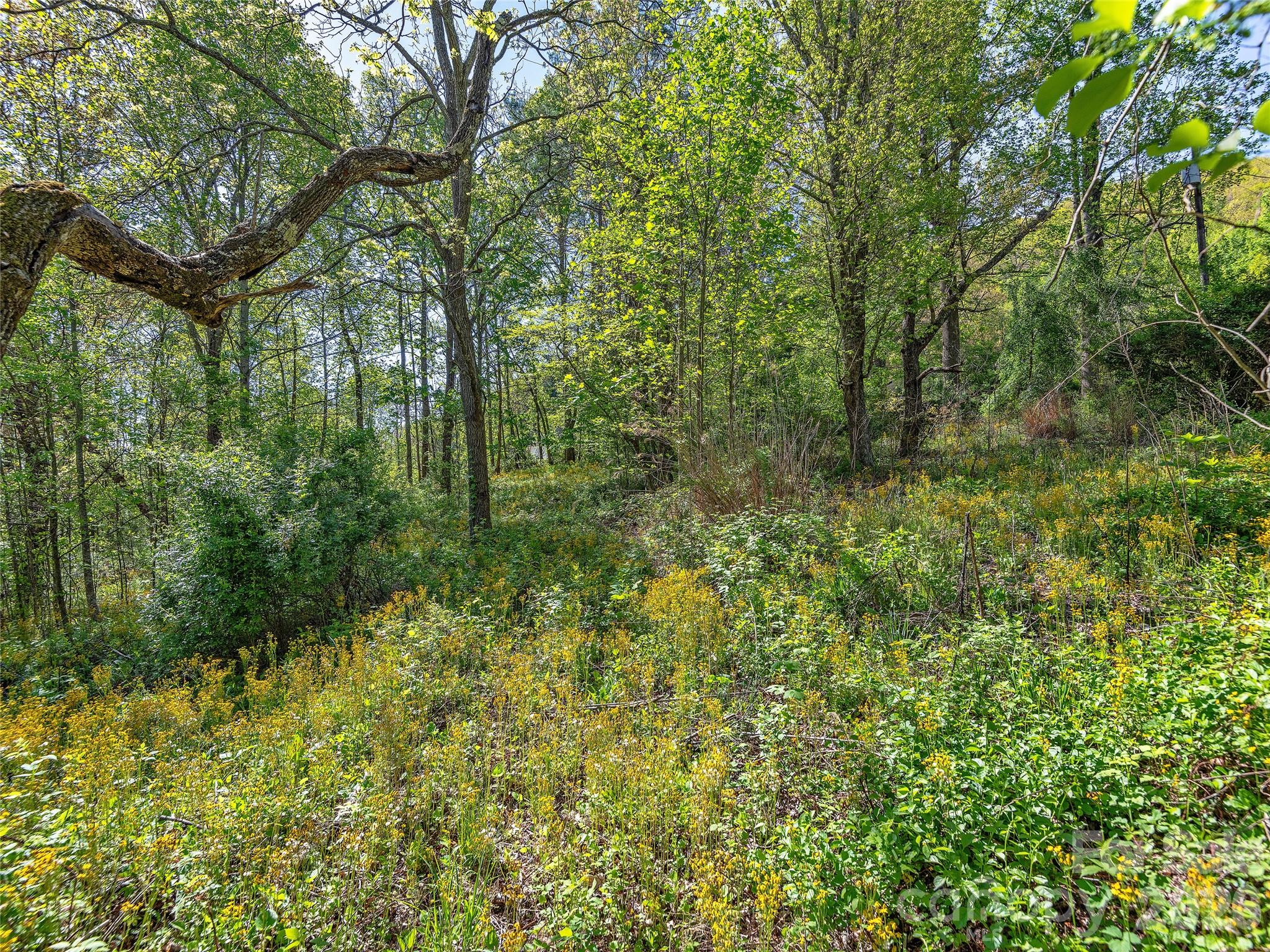 Acreage at 99999 Bob Barnwell Road, Asheville, photo 2 of 21