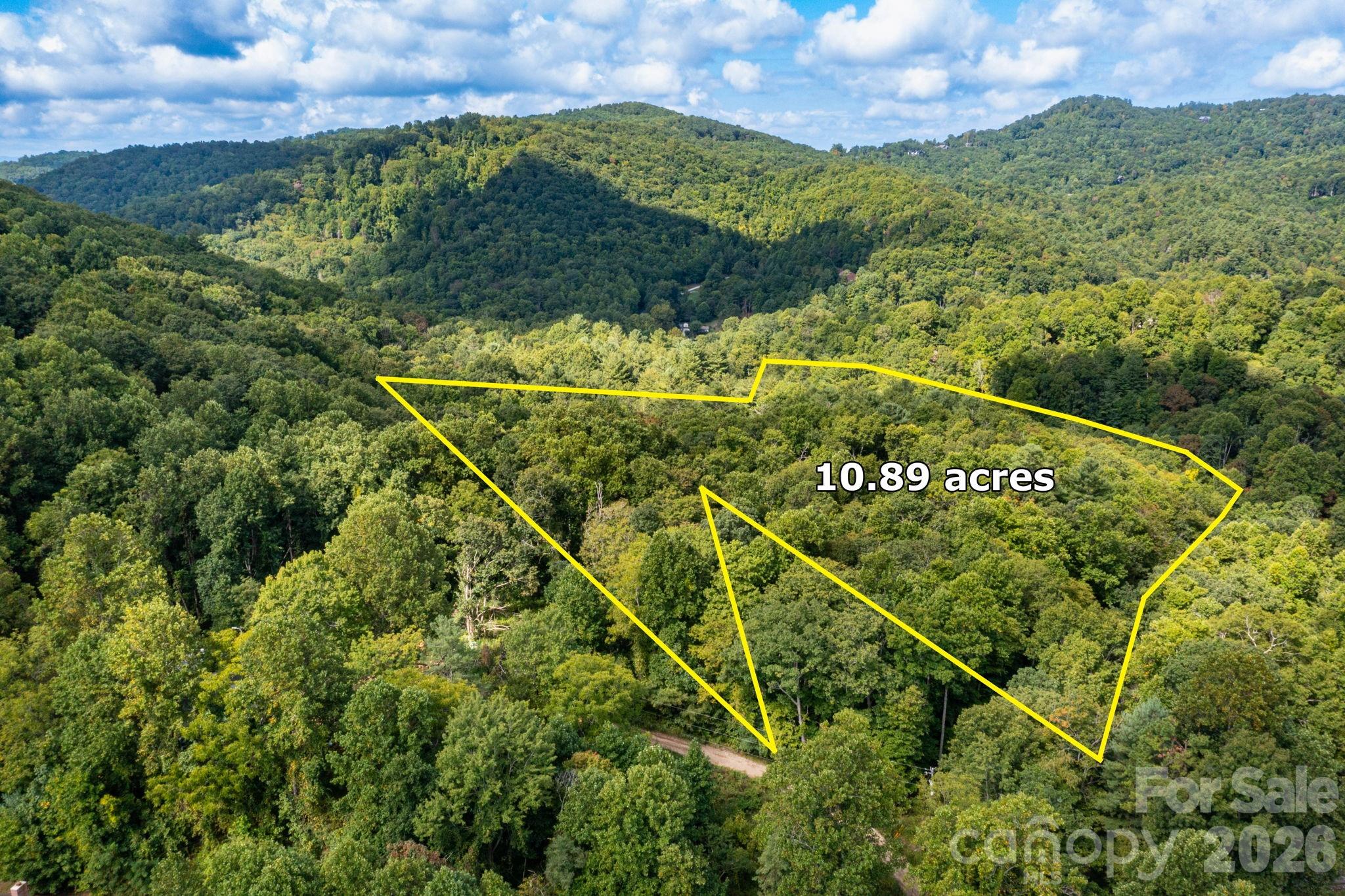 Acreage at 99999 Bob Barnwell Road, Asheville, photo 3 of 21