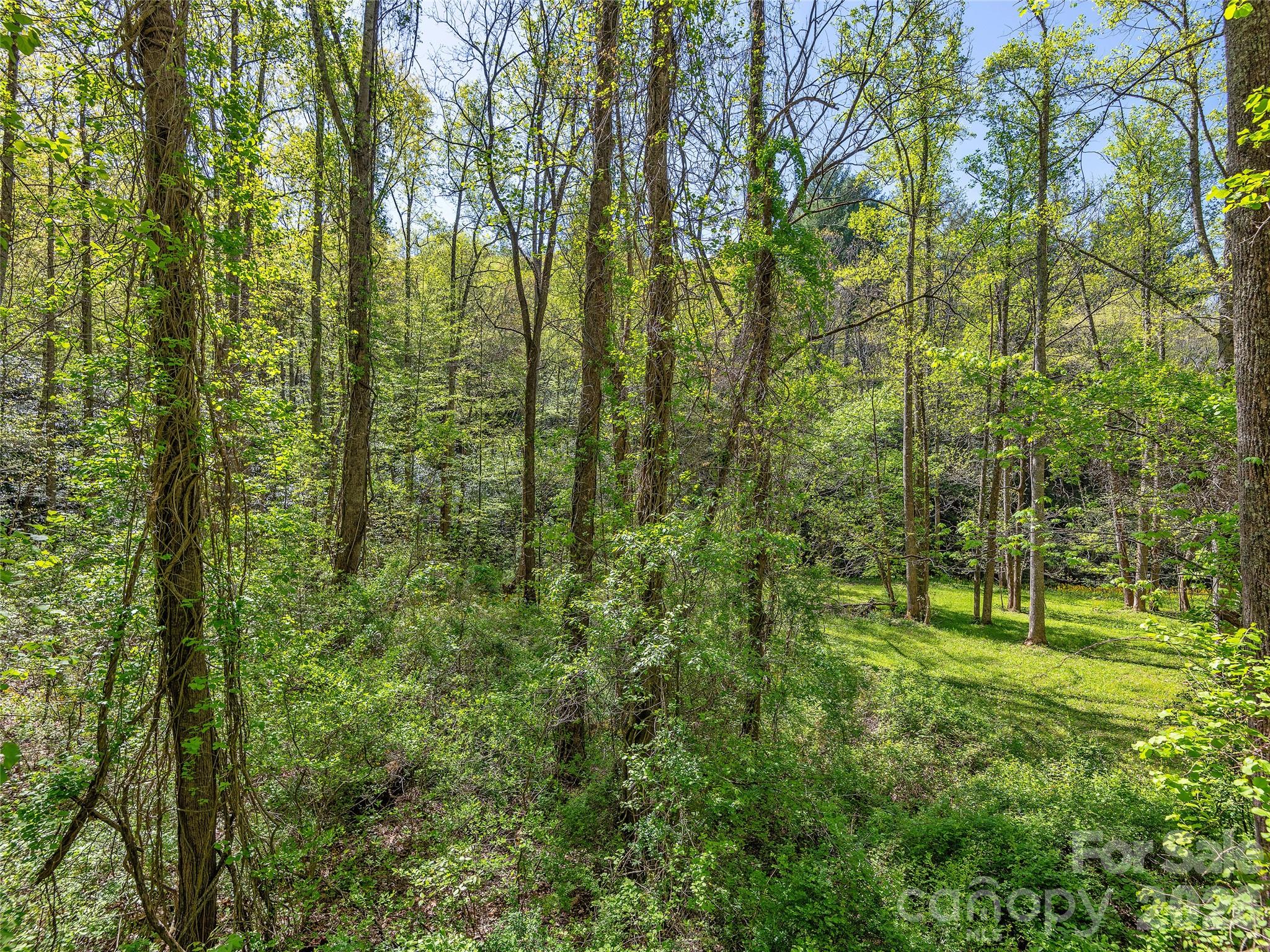 Acreage at 99999 Bob Barnwell Road, Asheville, photo 5 of 21