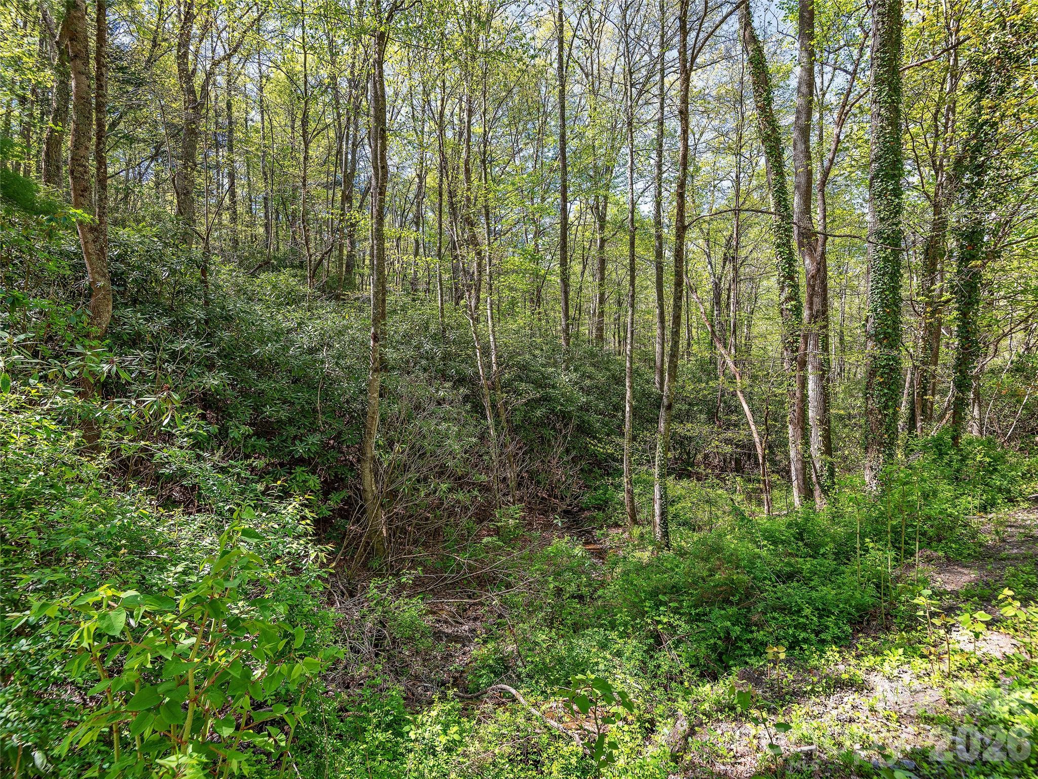 Acreage at 99999 Bob Barnwell Road, Asheville, photo 6 of 21