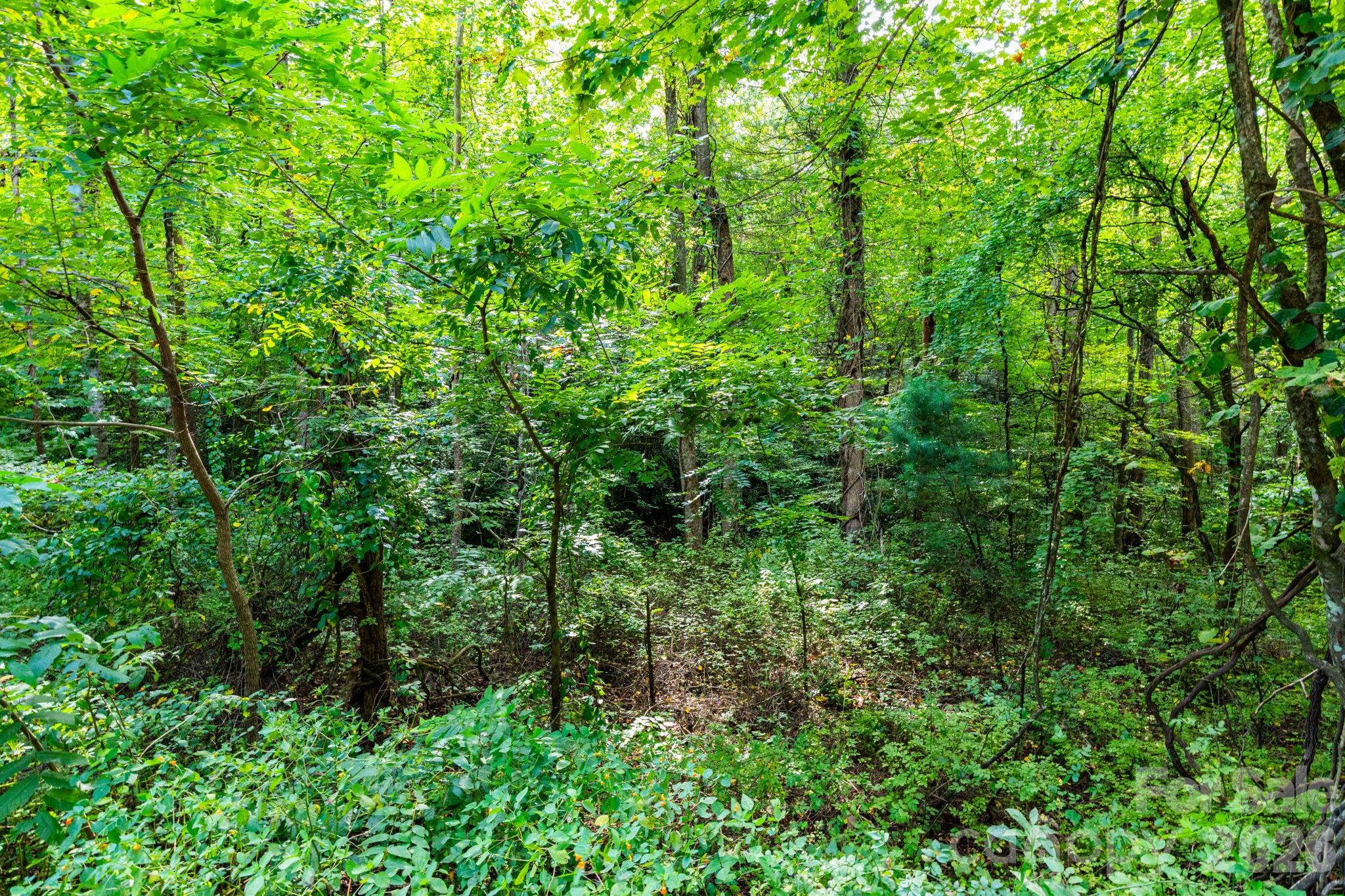 Acreage at 99999 Bob Barnwell Road, Asheville, photo 7 of 21