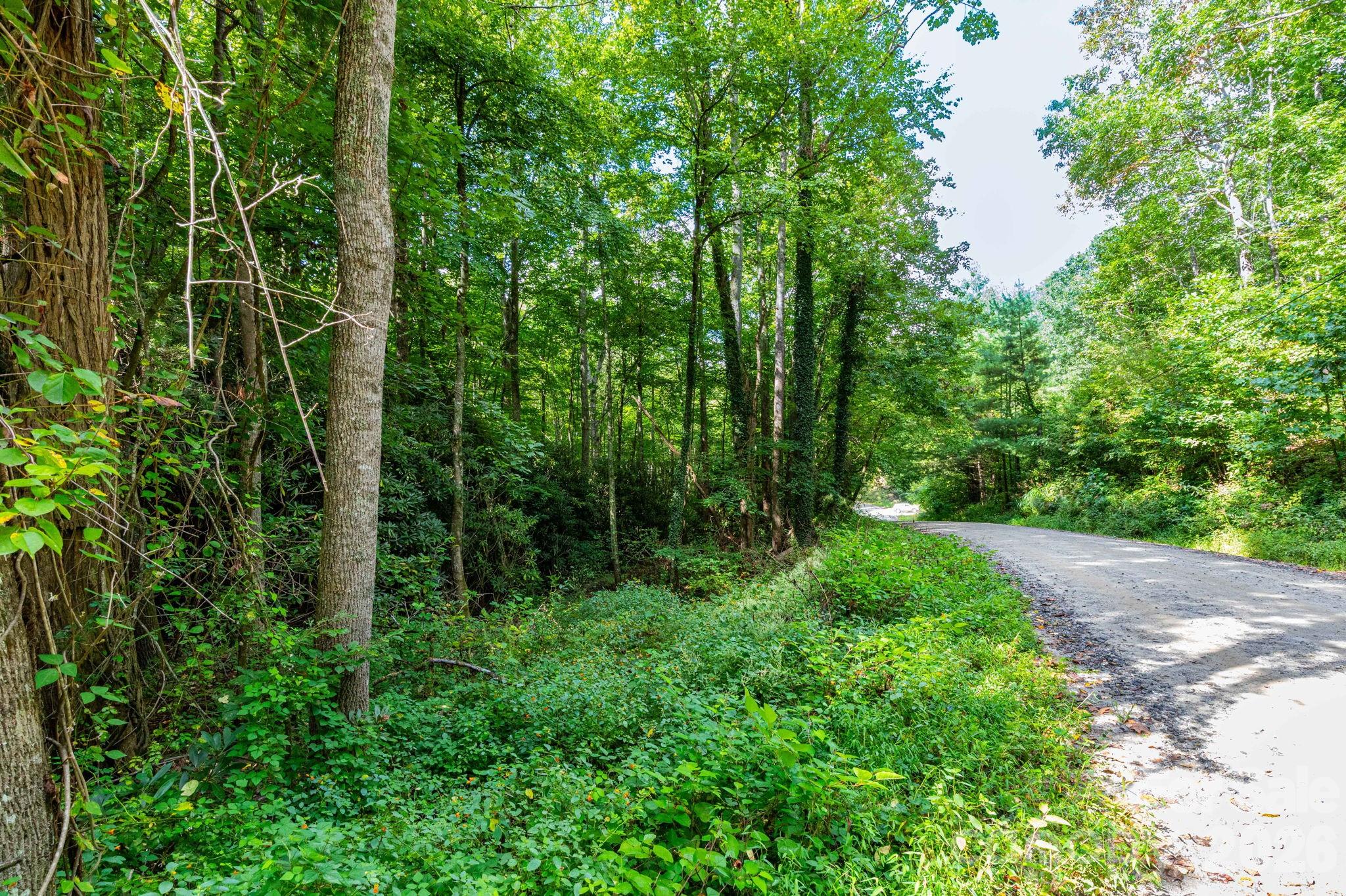 Acreage at 99999 Bob Barnwell Road, Asheville, photo 10 of 21