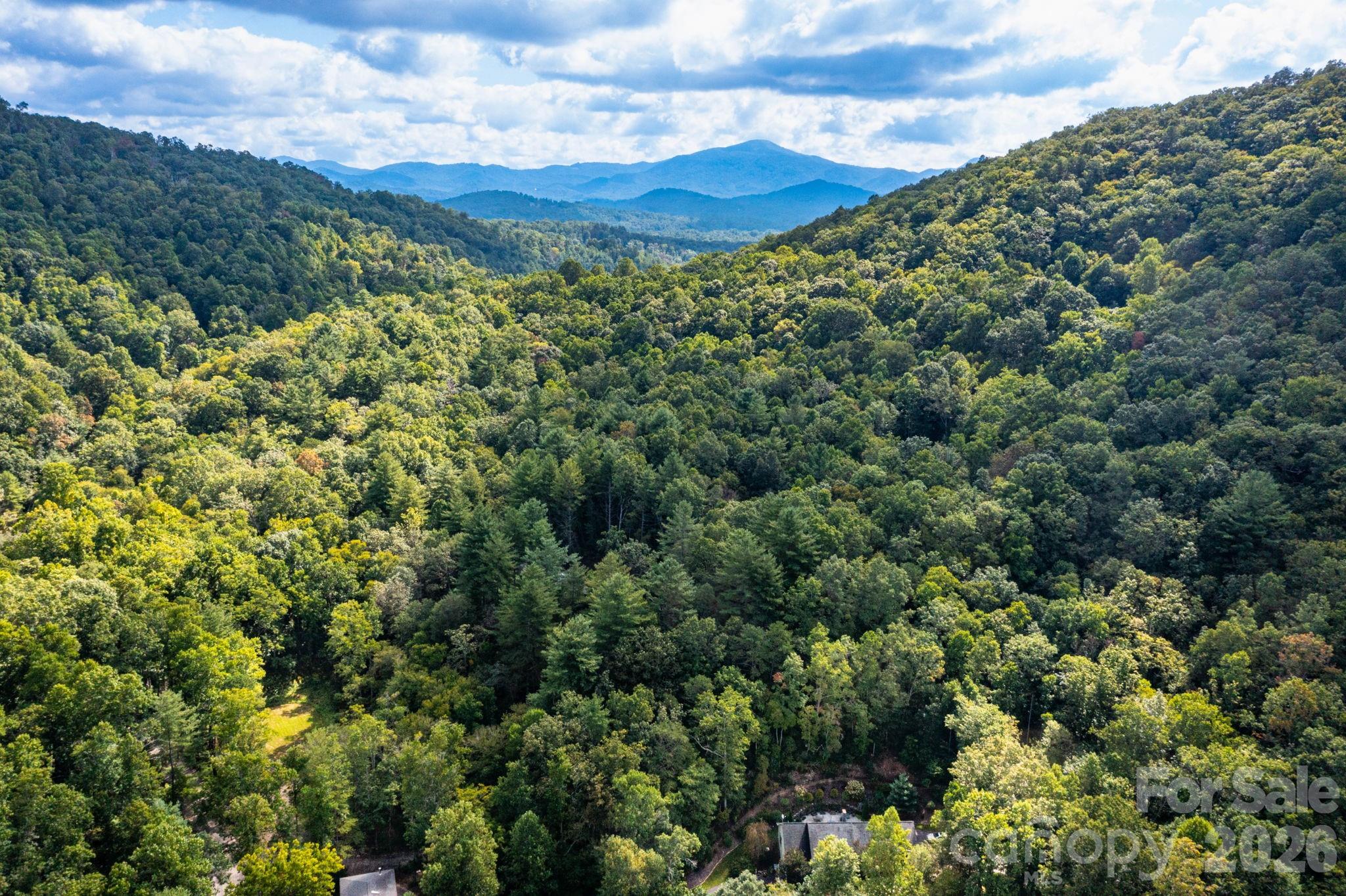 Acreage at 99999 Bob Barnwell Road, Asheville, photo 11 of 21