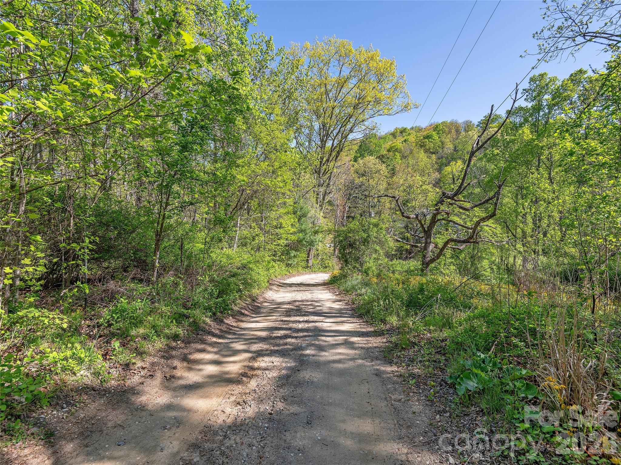 Acreage at 99999 Bob Barnwell Road, Asheville, photo 12 of 21