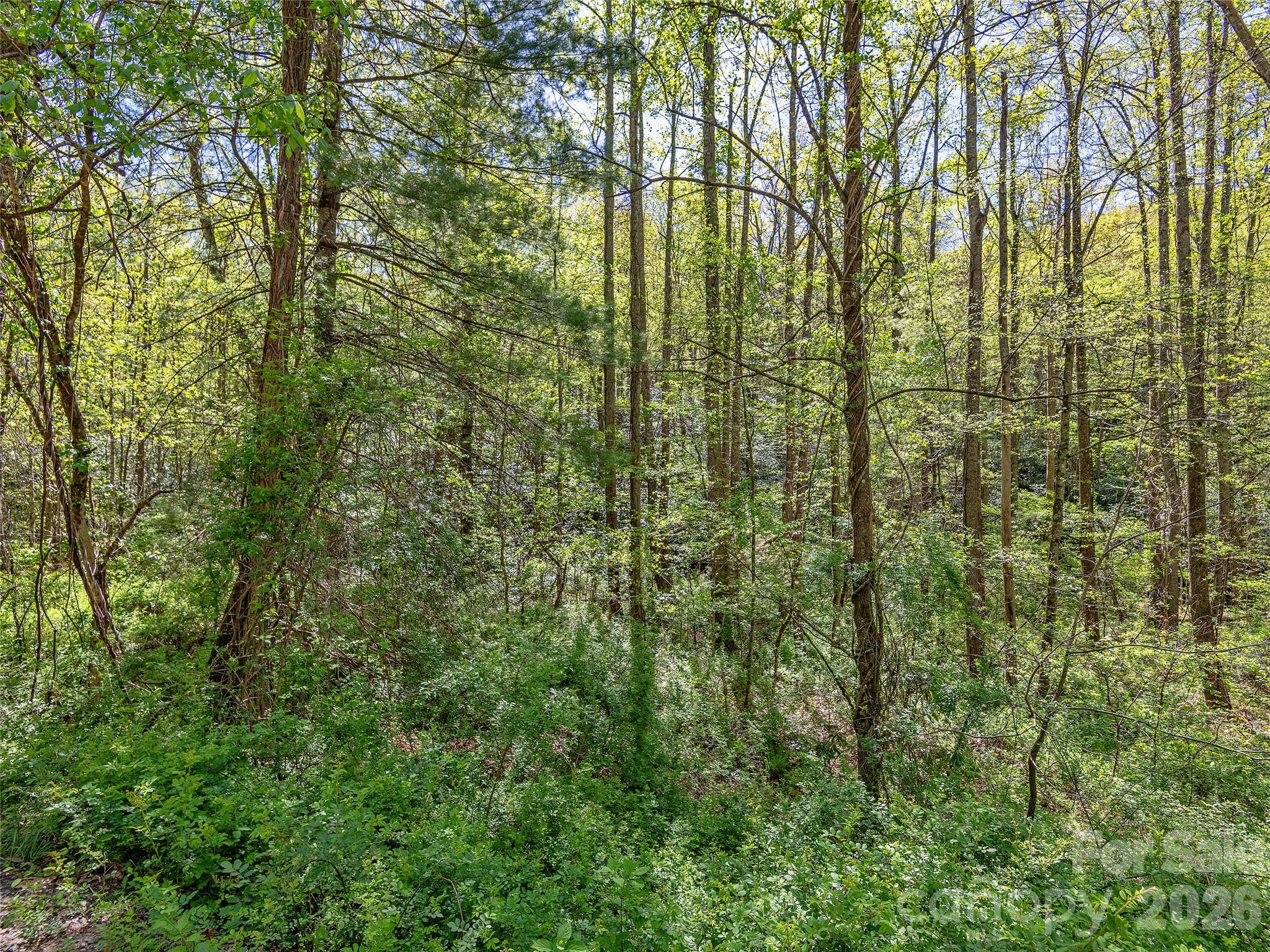 Acreage at 99999 Bob Barnwell Road, Asheville, photo 14 of 21