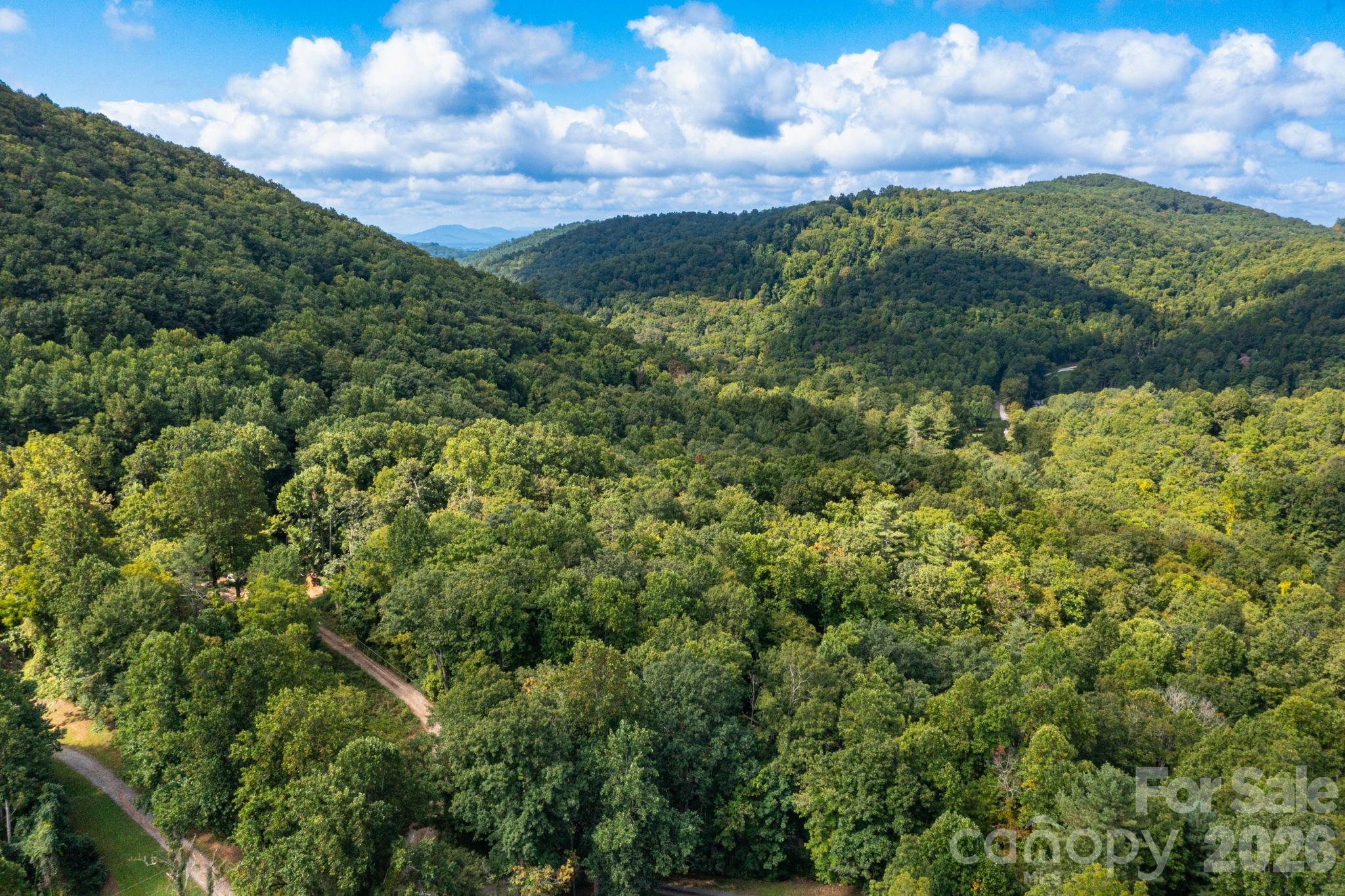 Acreage at 99999 Bob Barnwell Road, Asheville, photo 16 of 21
