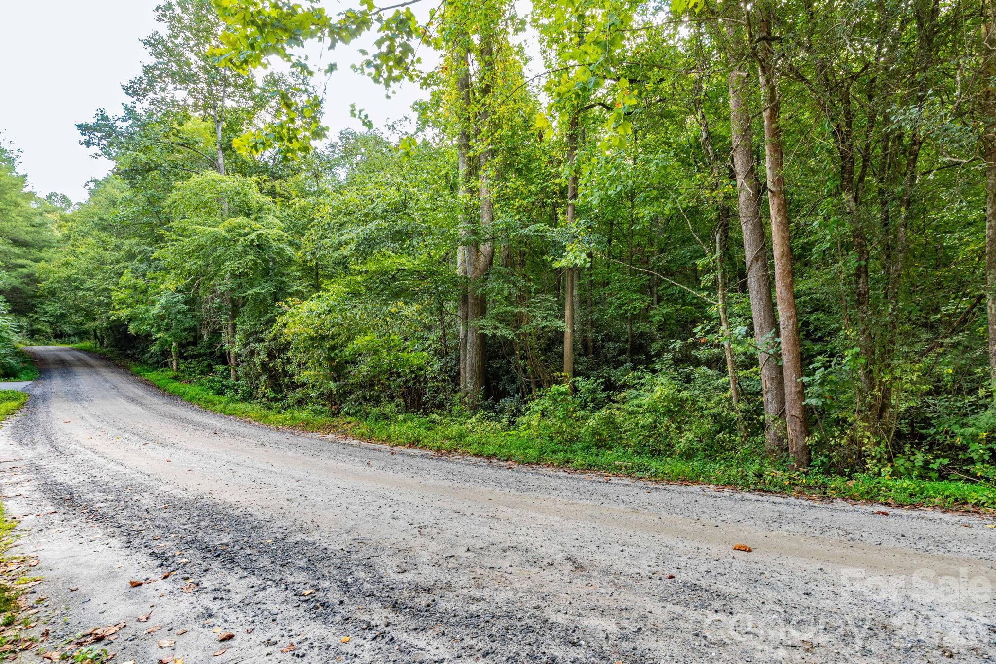 Acreage at 99999 Bob Barnwell Road, Asheville, photo 18 of 21
