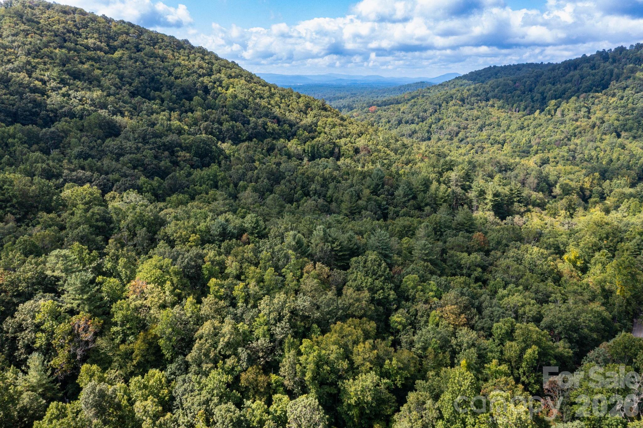 Acreage at 99999 Bob Barnwell Road, Asheville, photo 19 of 21