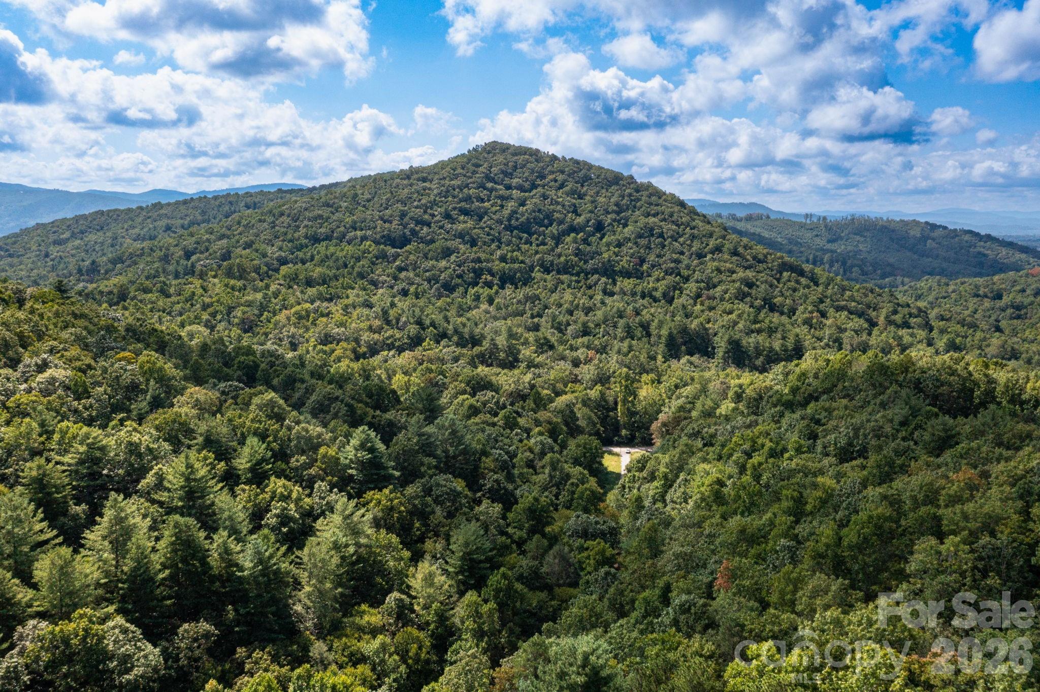 Acreage at 99999 Bob Barnwell Road, Asheville, photo 21 of 21