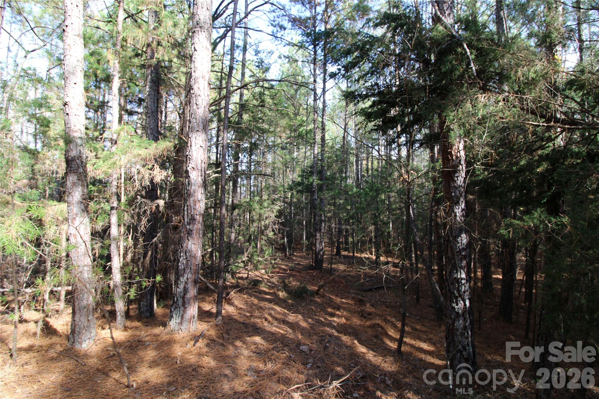 Lot at 5 +/-AC Bookout Road, Rock Hill, photo 2 of 10