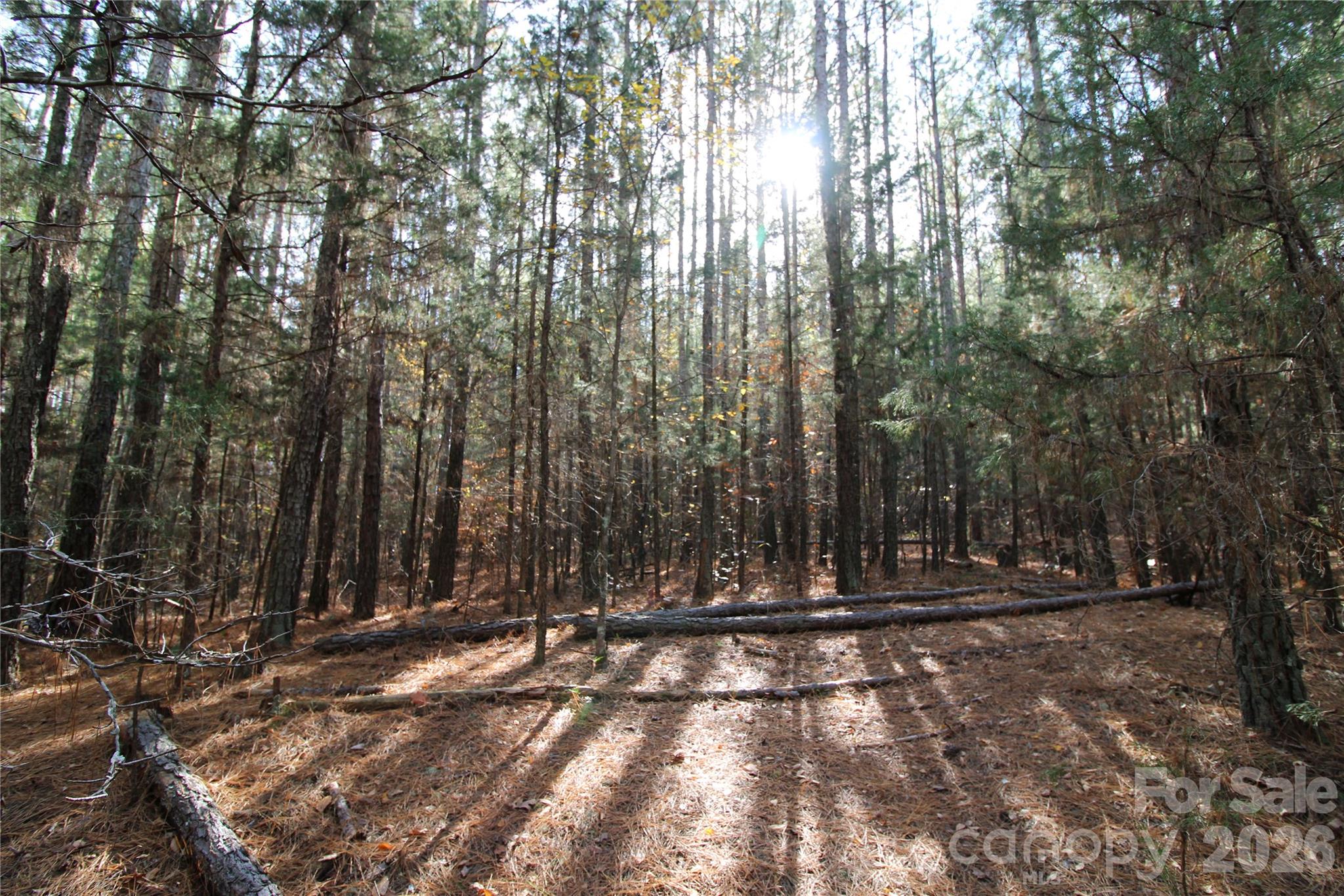Lot at 5 +/-AC Bookout Road, Rock Hill, photo 3 of 10