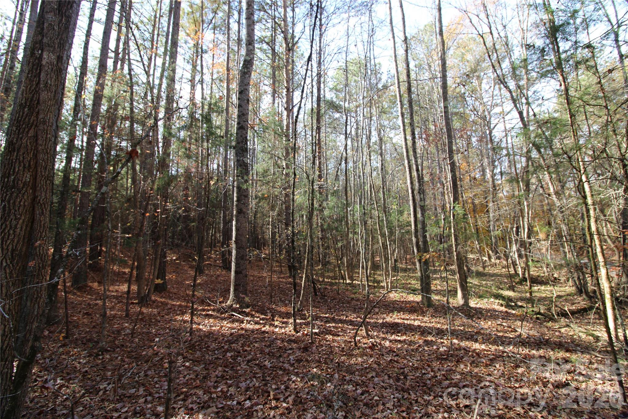 Lot at 5 +/-AC Bookout Road, Rock Hill, photo 4 of 10