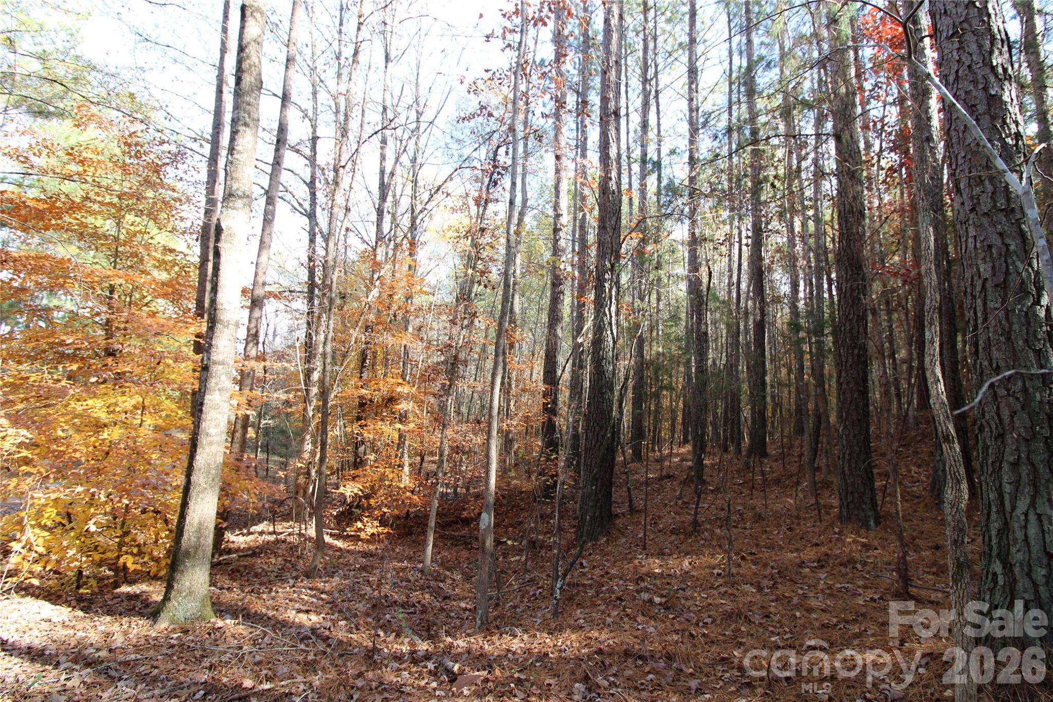 Lot at 5 +/-AC Bookout Road, Rock Hill, photo 5 of 10