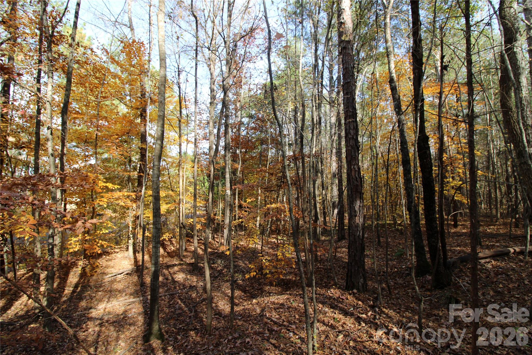 Lot at 5 +/-AC Bookout Road, Rock Hill, photo 6 of 10