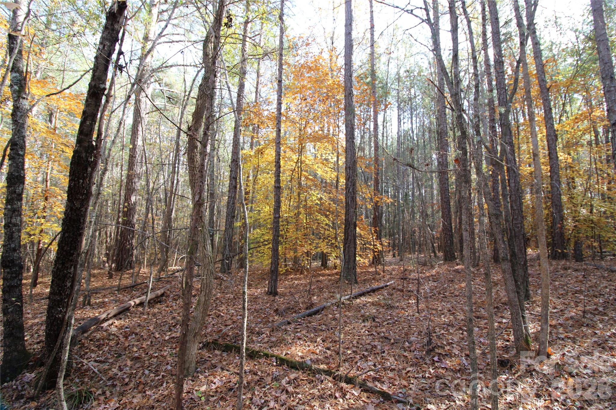 Lot at 5 +/-AC Bookout Road, Rock Hill, photo 7 of 10
