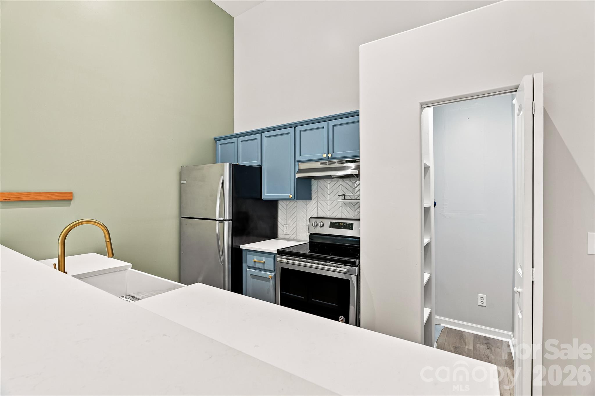 Left Side - updated kitchen with pantry. - 160 State Street, Asheville