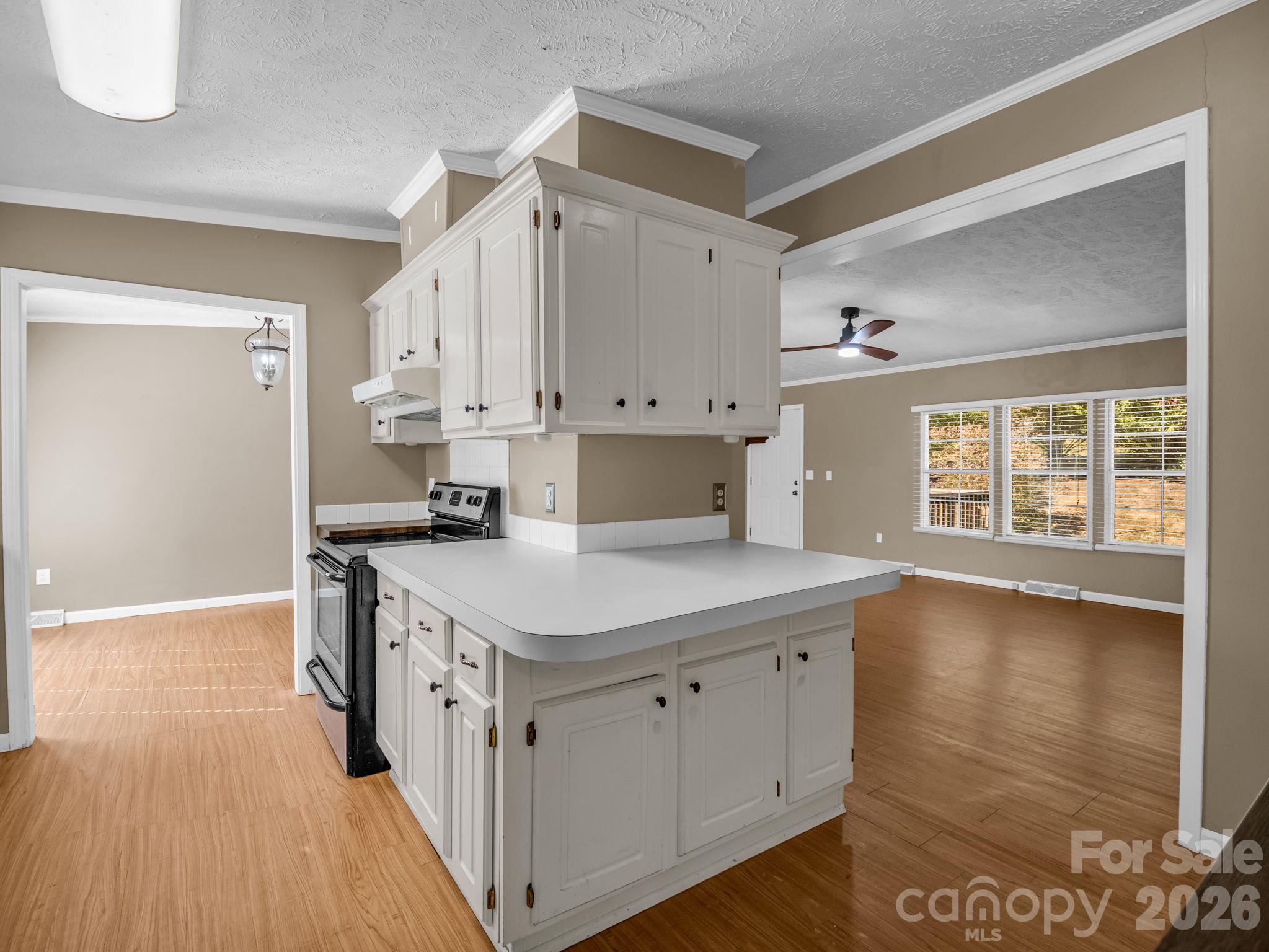 Single Family Residence at 670 Will Green Road, Tryon, photo 7 of 40