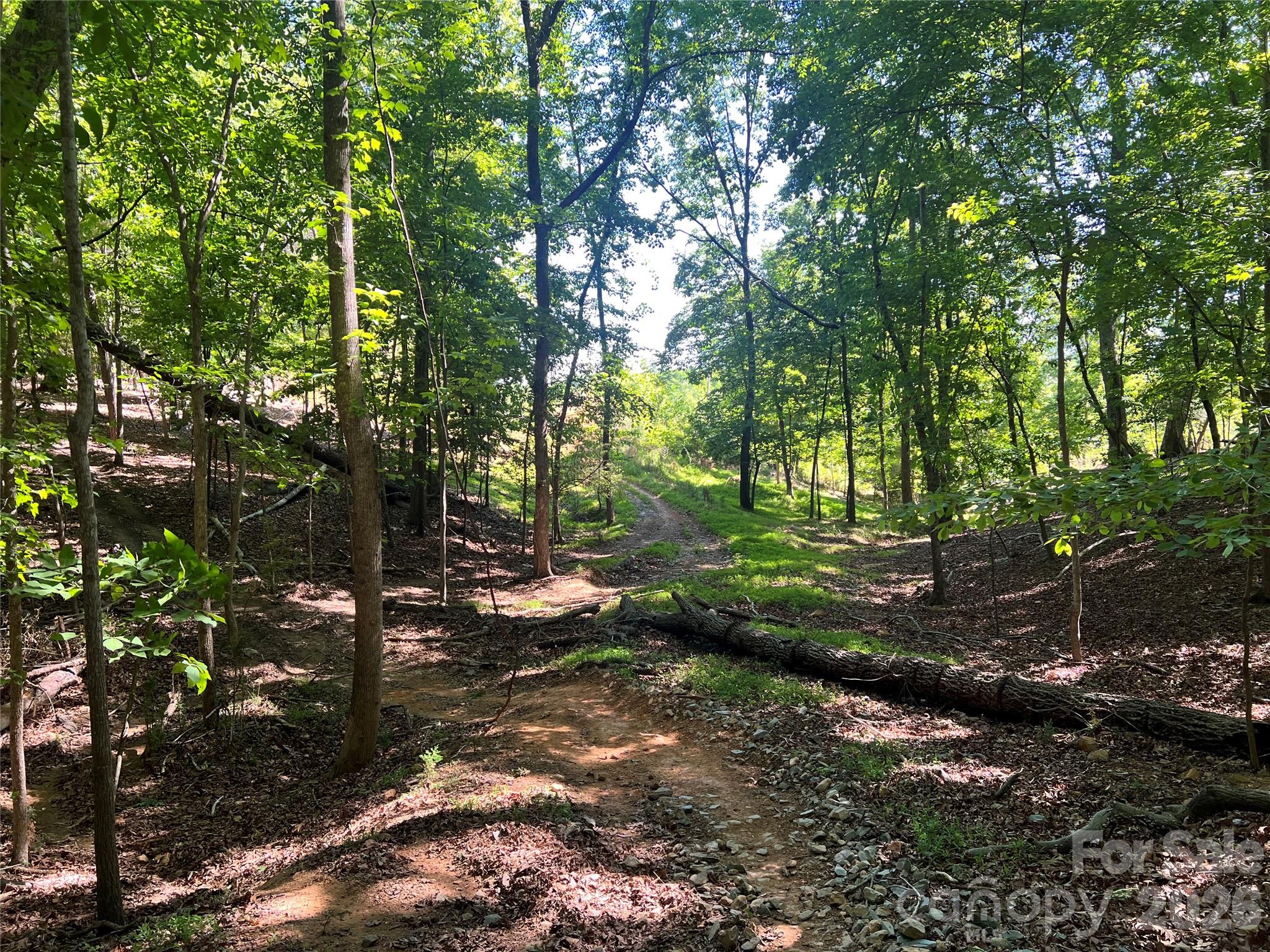Entry into the property . . property to the right has been cut. - VAC Stafford Drive, Albemarle
