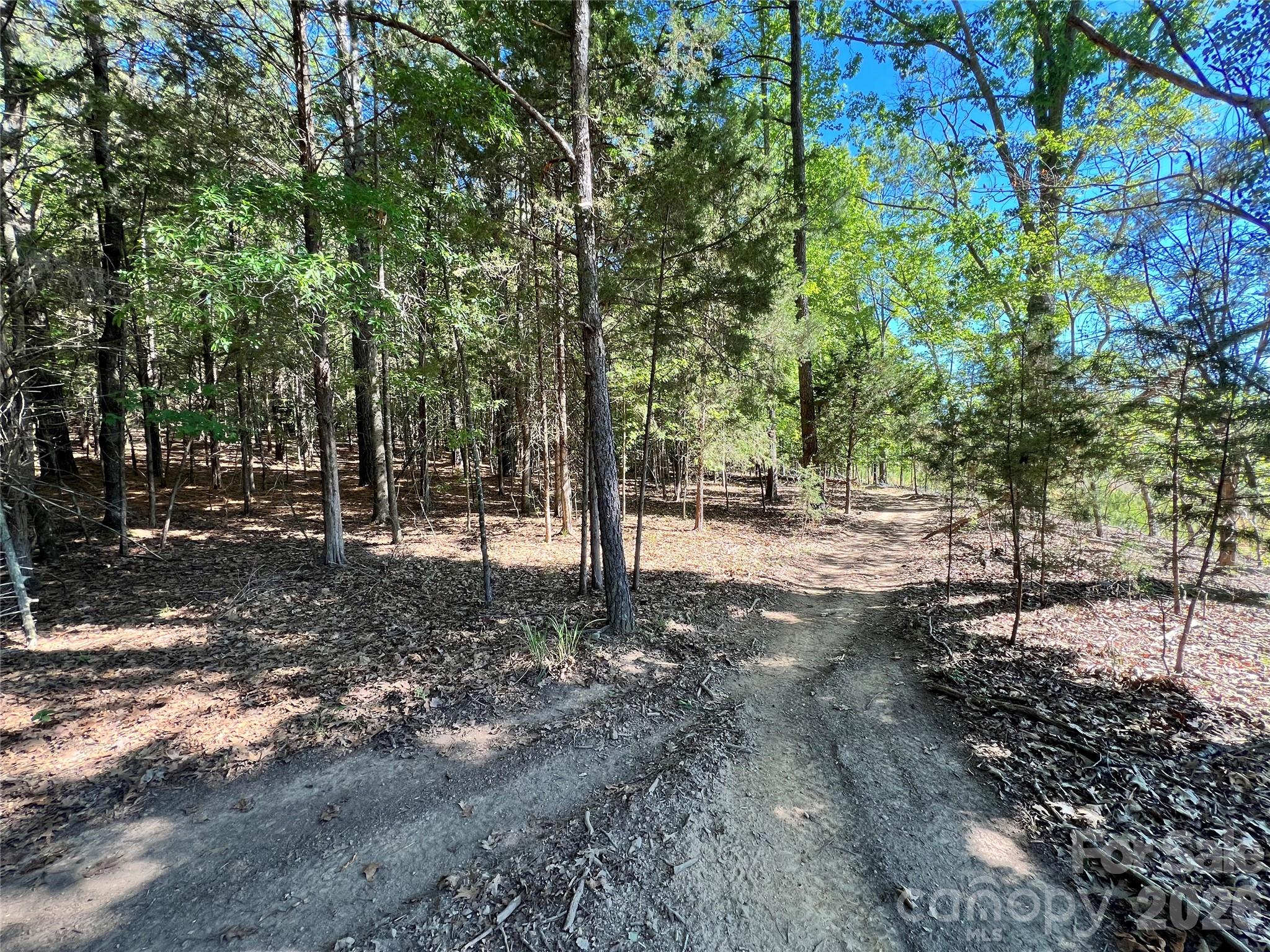 Property to the left in this photo. - VAC Stafford Drive, Albemarle