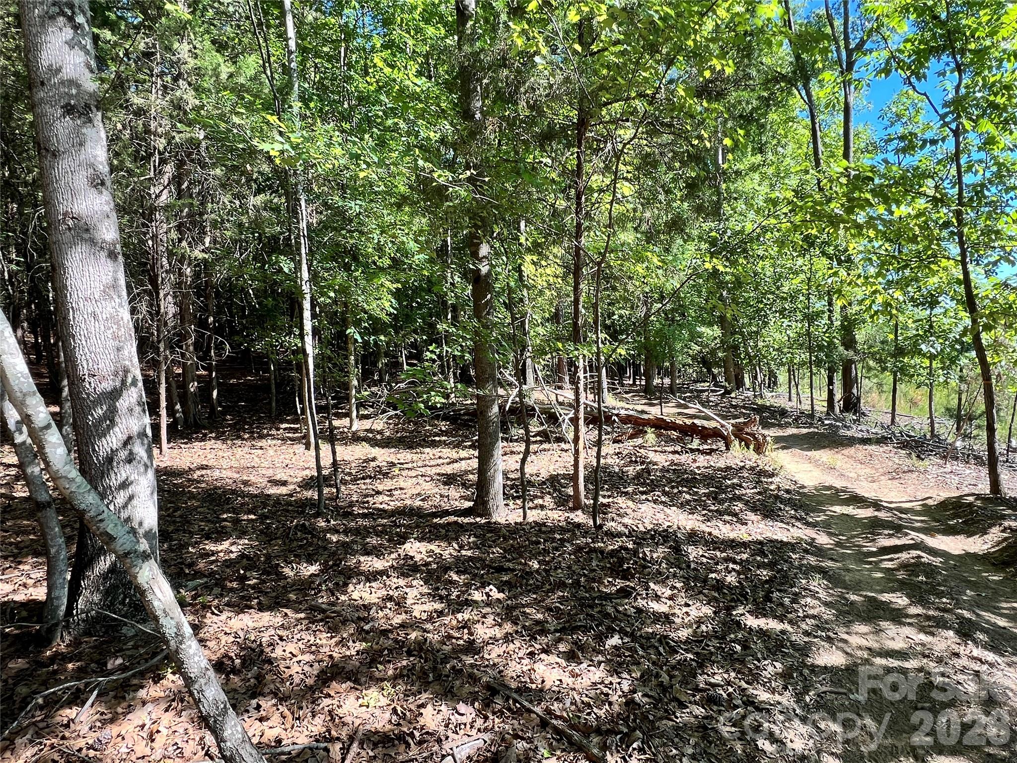 Acreage at VAC Stafford Drive, Albemarle, photo 5 of 6