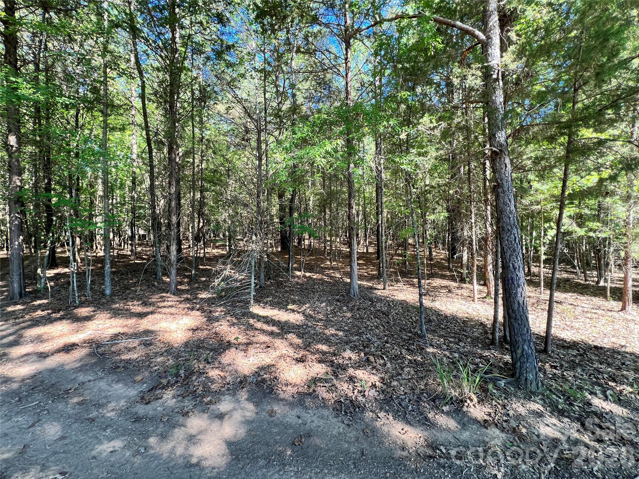 Acreage at VAC Stafford Drive, Albemarle, photo 6 of 6