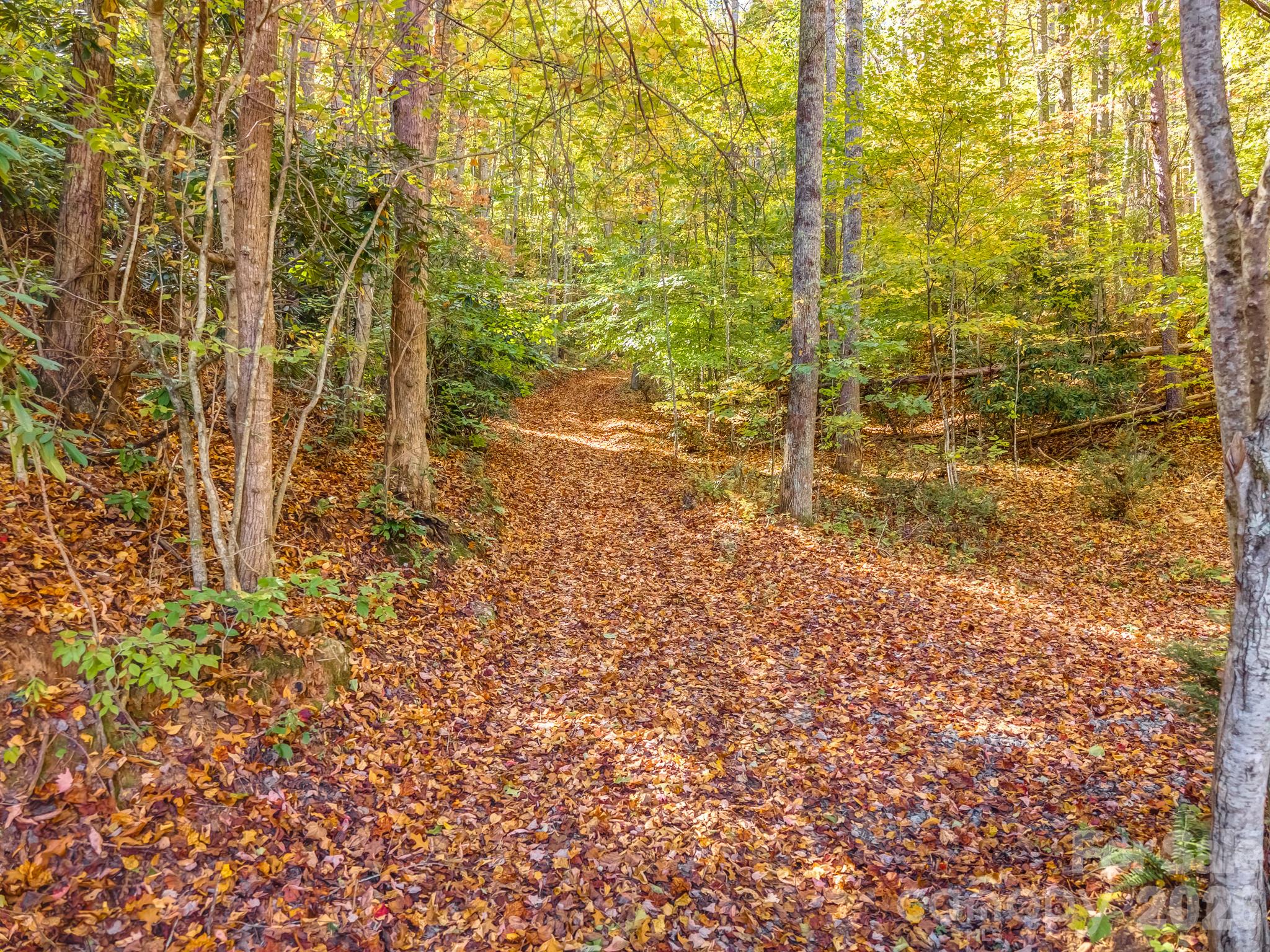 Acreage at 100 White Rock Branch Road, Candler, photo 6 of 20