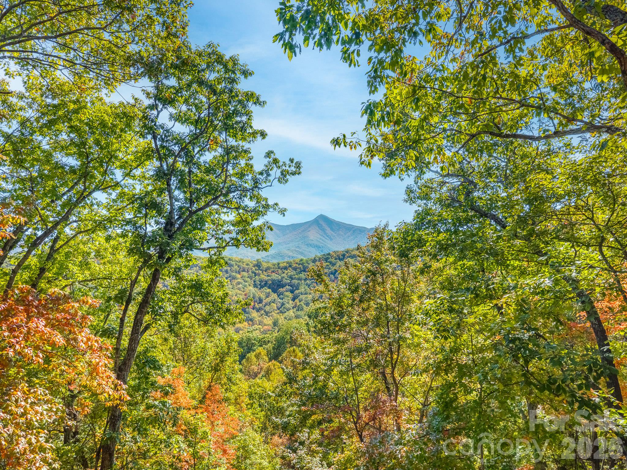 Acreage at 100 White Rock Branch Road, Candler, photo 2 of 20