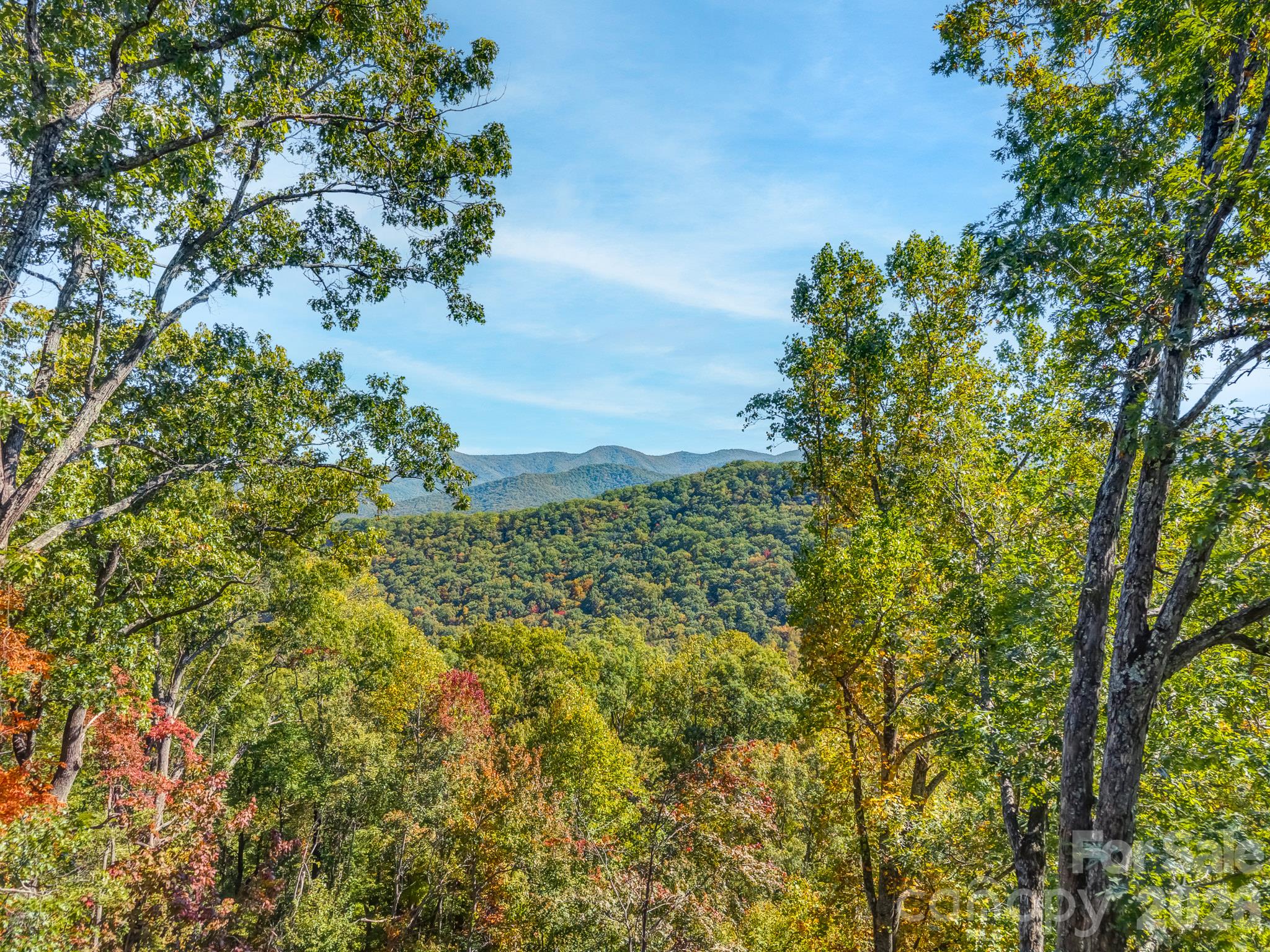Acreage at 100 White Rock Branch Road, Candler, photo 3 of 20