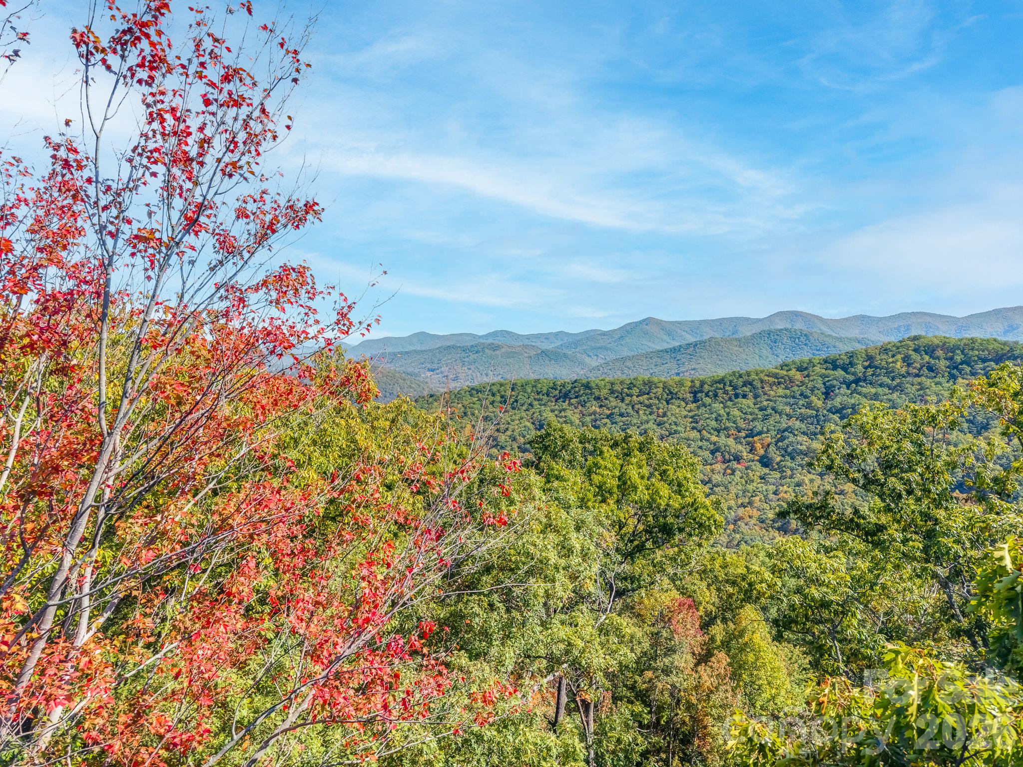 Acreage at 100 White Rock Branch Road, Candler, photo 4 of 20