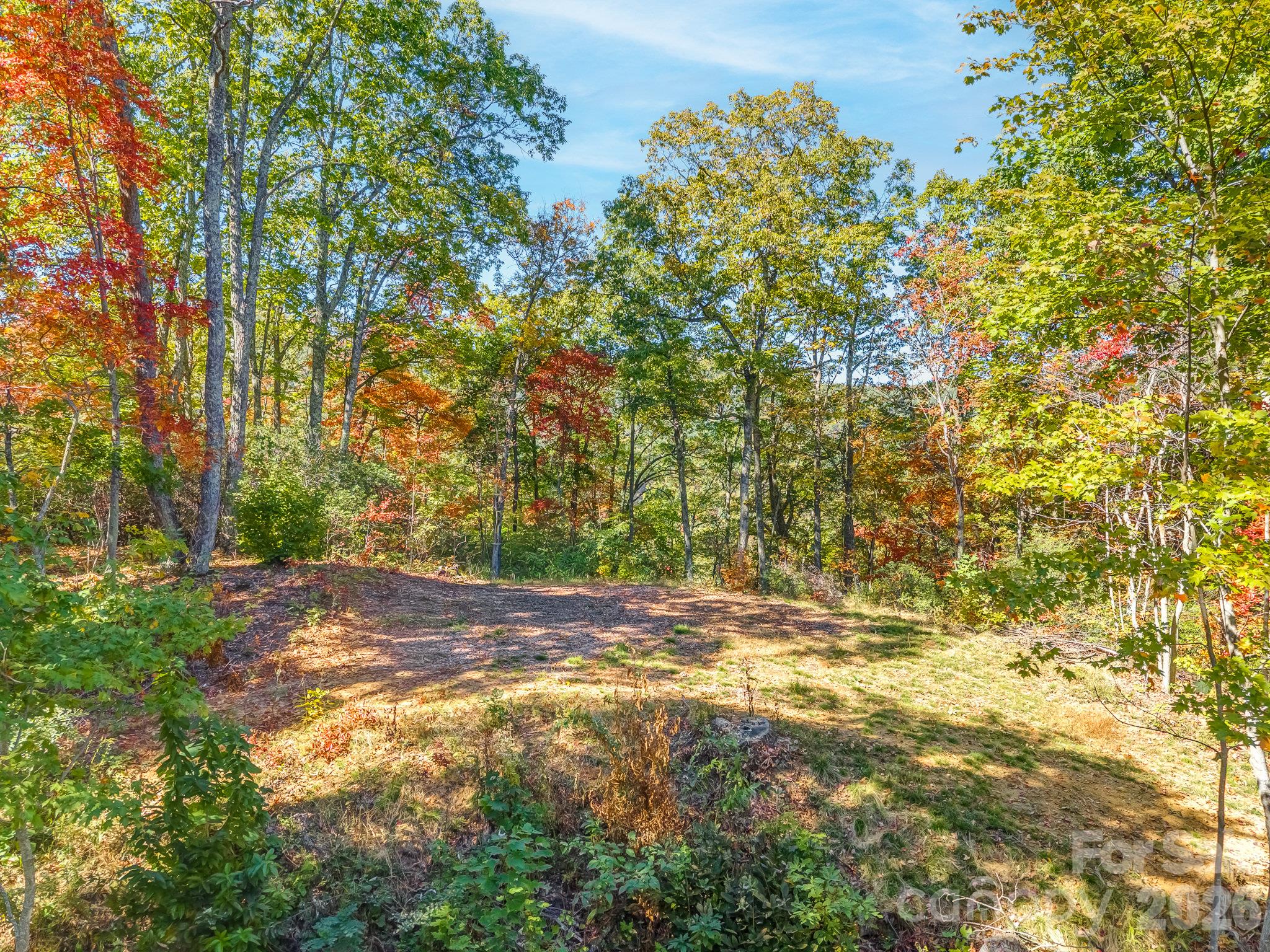 Acreage at 100 White Rock Branch Road, Candler, photo 8 of 20