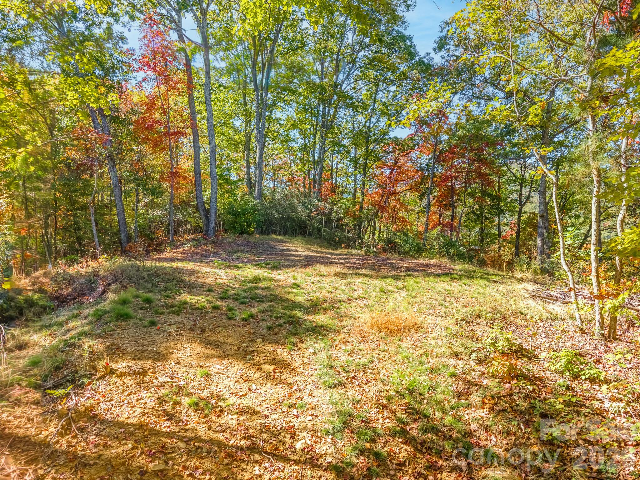 Acreage at 100 White Rock Branch Road, Candler, photo 9 of 20