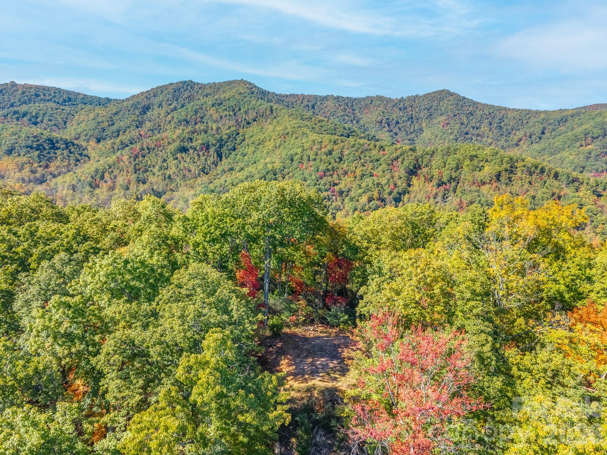 Acreage at 100 White Rock Branch Road, Candler, photo 10 of 20