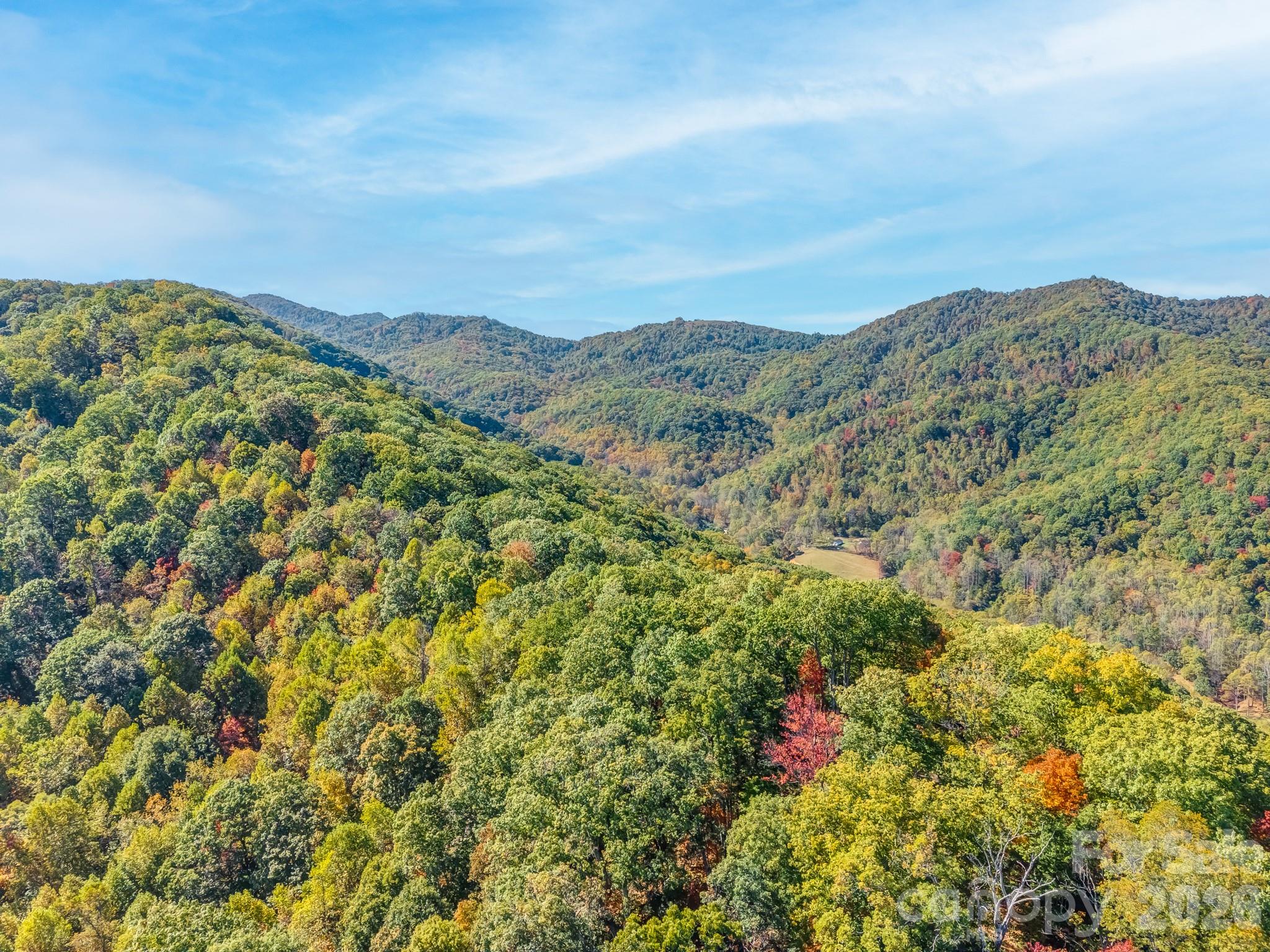 Acreage at 100 White Rock Branch Road, Candler, photo 12 of 20