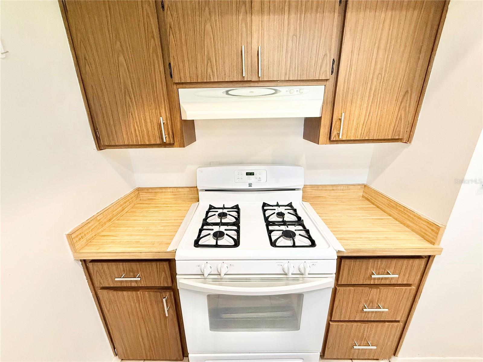 Single Family Residence at 1031 PARK AVE, TAVARES, photo 3 of 26