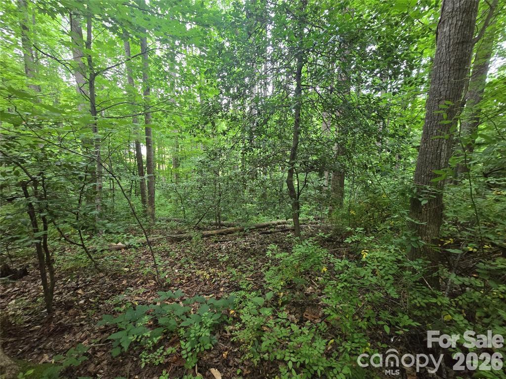 Lot at 9999 US 221 Business Extension N, Marion, photo 10 of 17