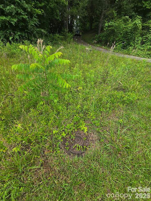 Lot at 9999 US 221 Business Extension N, Marion, photo 15 of 17