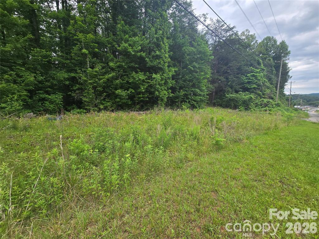 Lot at 9999 US 221 Business Extension N, Marion, photo 17 of 17
