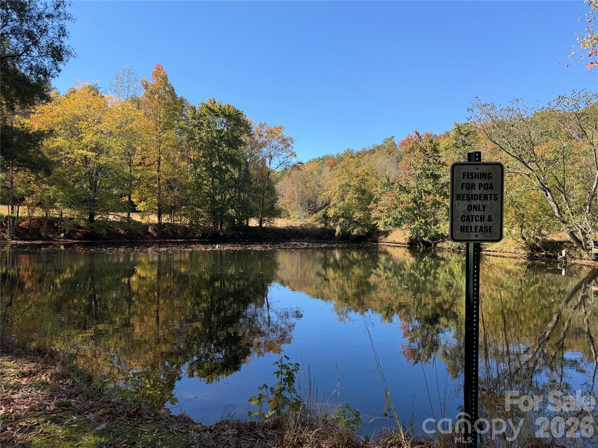 Community pond - 3240 Holly Road, Connelly Springs