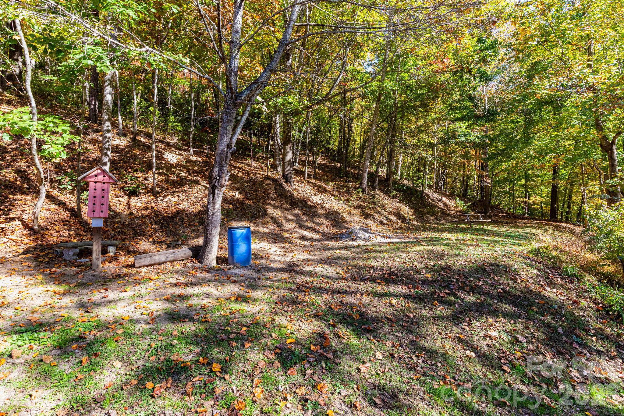 Picnic Area - 65 Chestnut Hill Road, Black Mountain