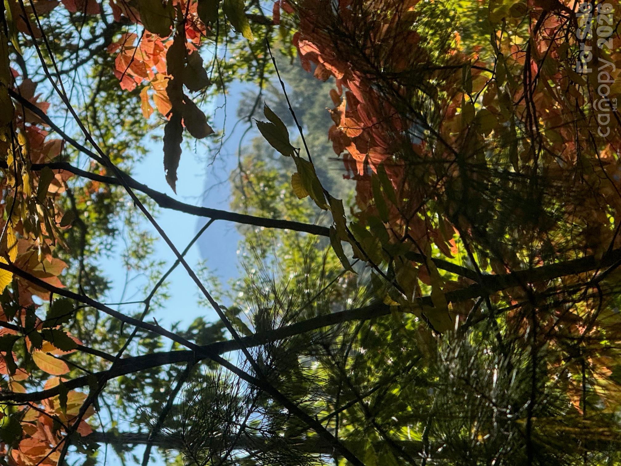 Lot at 37 Timucua Trail, Waynesville, photo 6 of 9