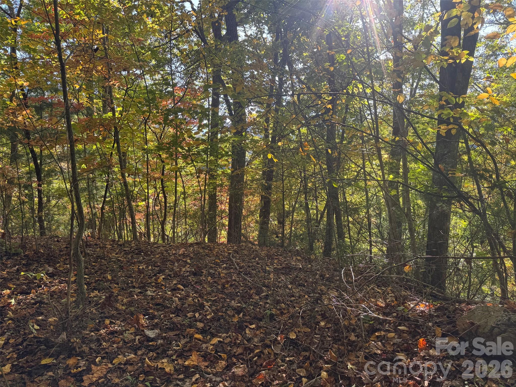 Lot at 37 Timucua Trail, Waynesville, photo 8 of 9