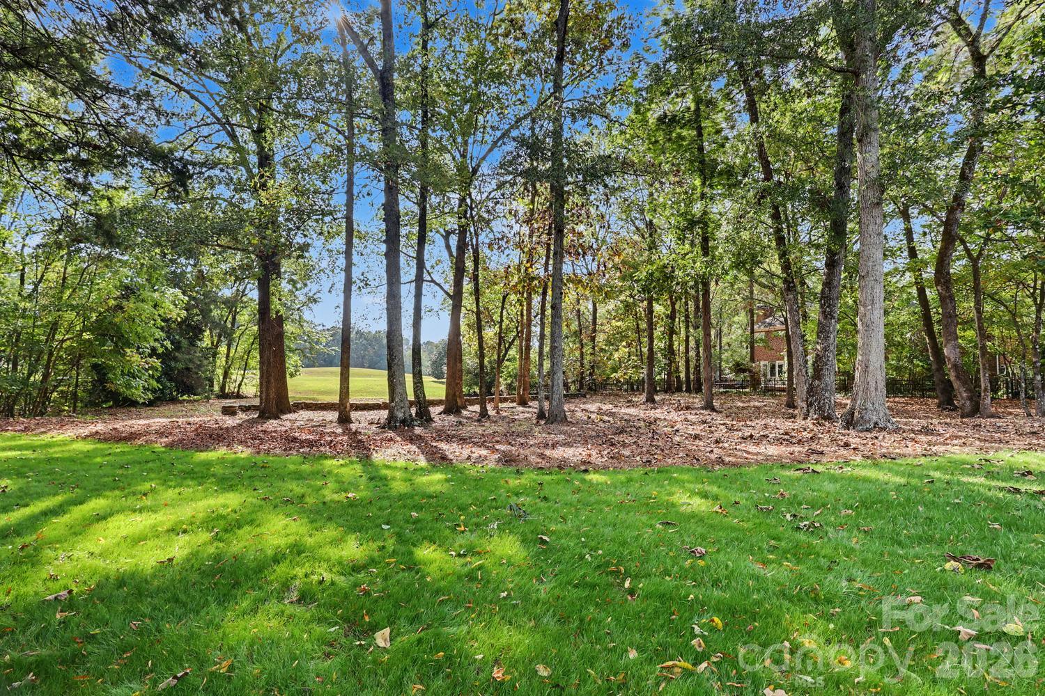 view of the back yard from the screened porch - 6325 County Donegal Court, Charlotte