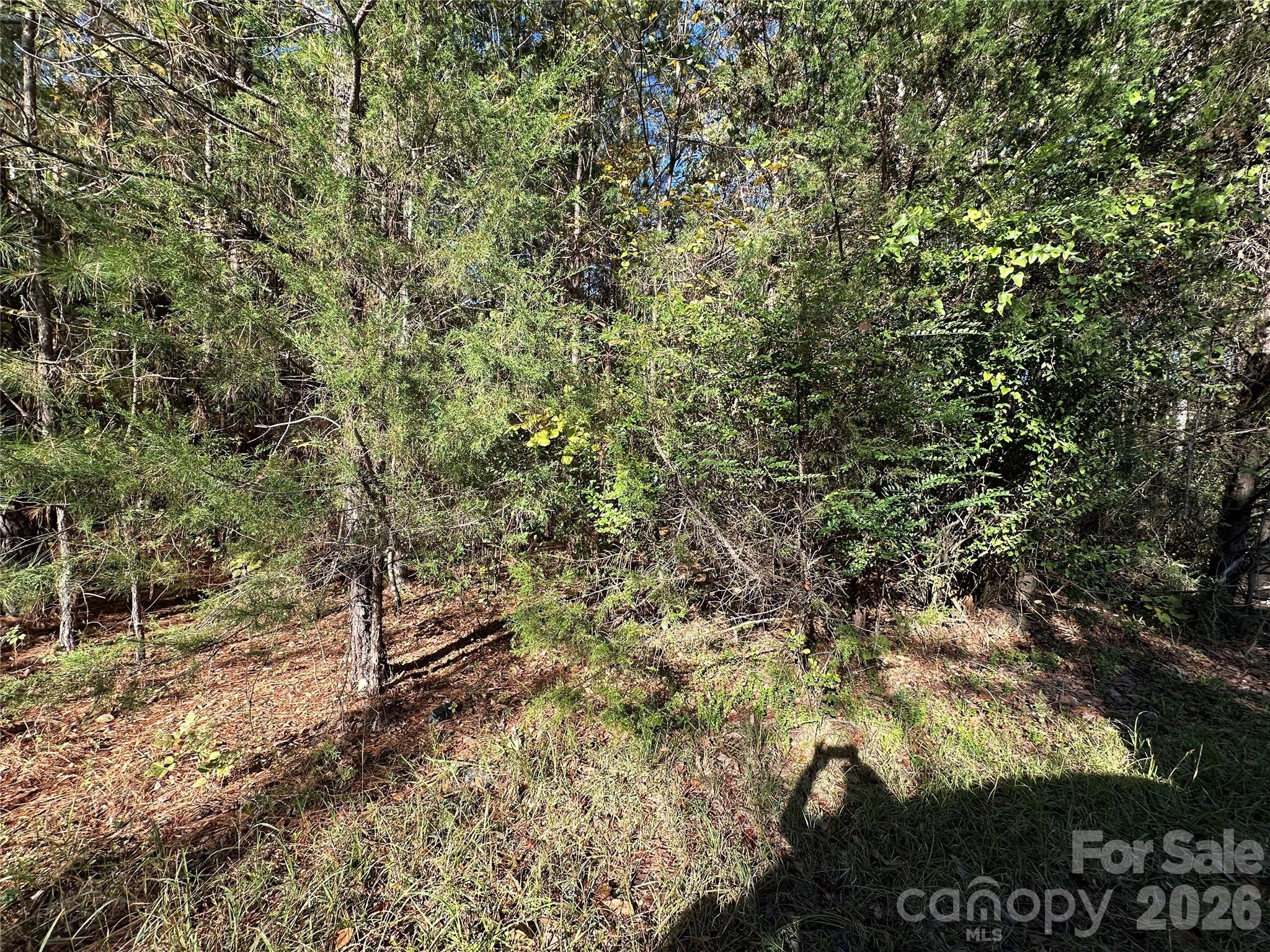 Lot at 1136 Joe Louis Boulevard, Rock Hill, photo 2 of 5