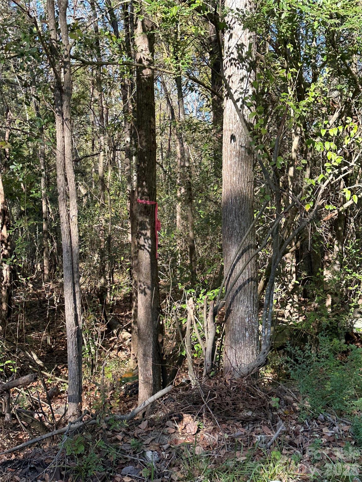 Lot at 1136 Joe Louis Boulevard, Rock Hill, photo 3 of 5