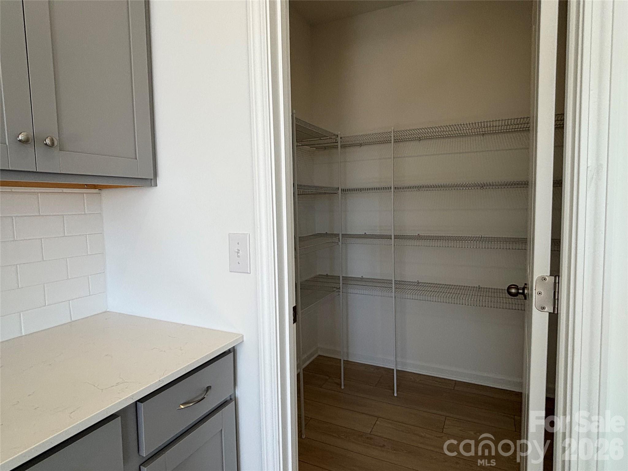yes, to the pantry! - 1645 Grassy Knoll Trail, Maiden