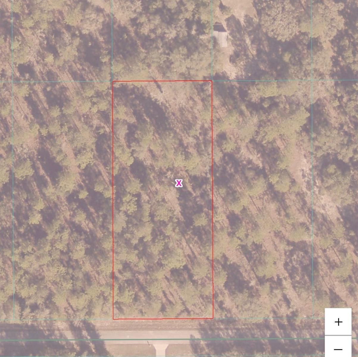 PONY RIDGE DR