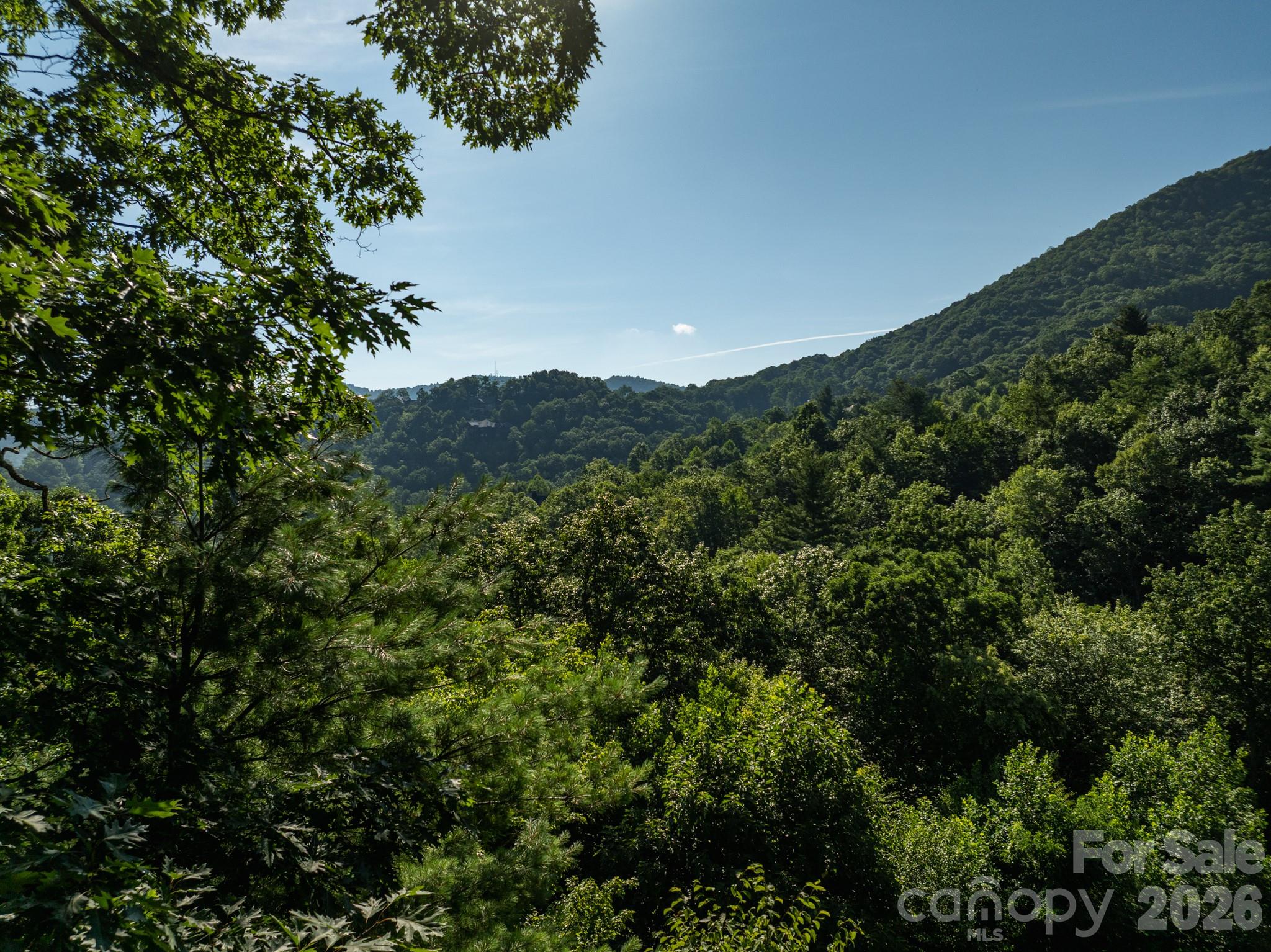 Potential view - 59 Old Greybeard Loop, Black Mountain