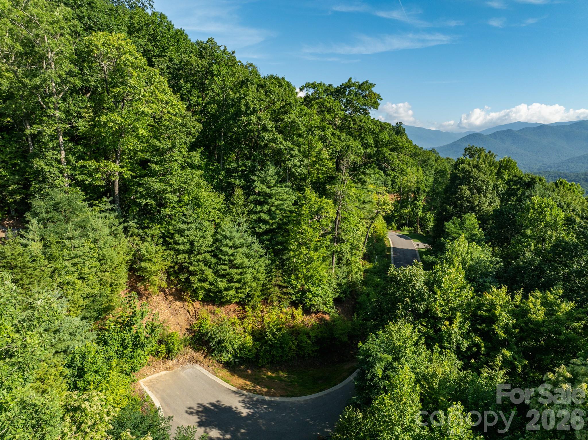View of lot and cul-de-sac - 59 Old Greybeard Loop, Black Mountain